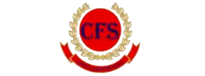 Capital Force Security Services Capital Force Security Services